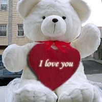52" White Teddy Bear with I Love You Pillow.