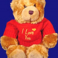 20" Teddy Bear with I love You T-shirt-2