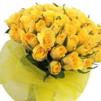 24 Bright Blush Rose Bouquet