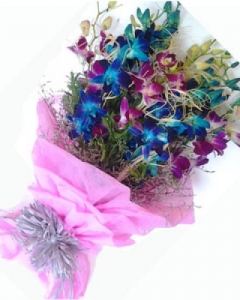 Blue & Purple Orchids