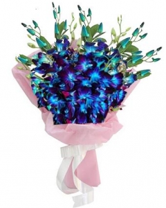 BLUE Bouquet