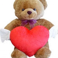 20" Brown Teddy Bear with heart shape Pillow.