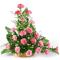 Arng of Carnations