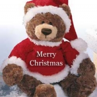 36" Brown Teddy Bear with X-mas Dress.