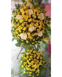 !yellow & White