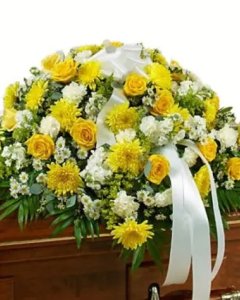 you are always in our Dream